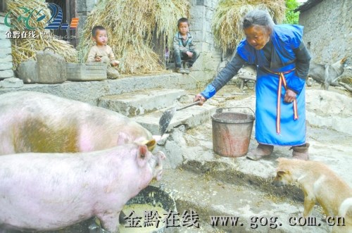 106�����������������ι��