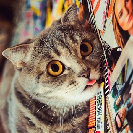 С�һ�����ʱʮ����ϡ�