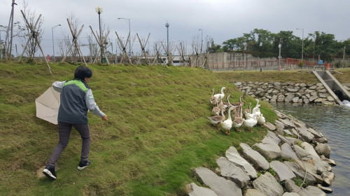 ������֪�����㡰�ͼ�Բ¥���ܱ�ˮ������Ļ��졢��ͷѼ��ˮ�ݣ����ƵƵ�ϰ������֡���������Ա��ͣæ�����ϻسء�̨�塶���ϱ������ߺ���������Ӱ