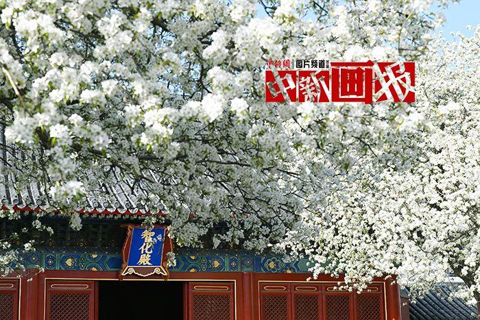 北京春季赏花地图来啦