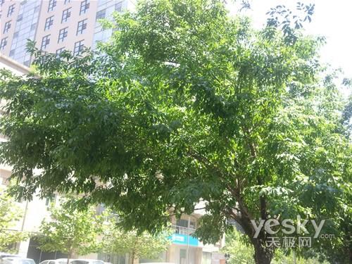 800W+Touch �������� ����S8300C���ⱨ��