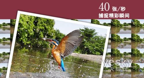 �ȼ���ƴ���� 6��߶��������ɱ�ֶԾ� 