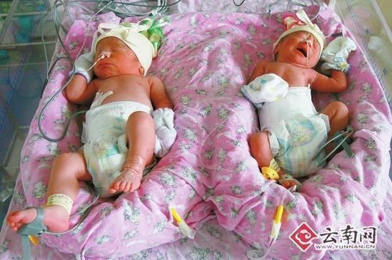 Ů�Ӳ���1��3Ů�İ�̥(��ͼ)