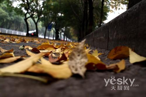 本周数码相机市场 消费者关注度前十热机