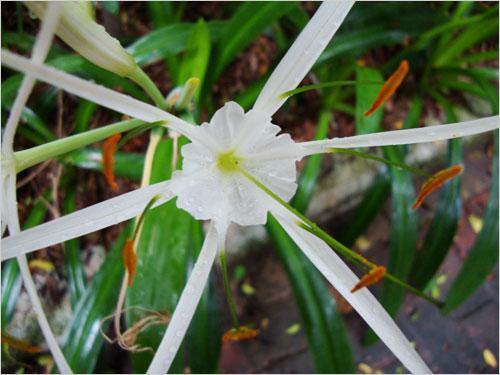 本周数码相机市场 消费者关注度前十热机