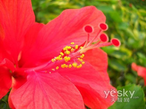 最美还是夕阳红 十一老年旅游相机选购推荐