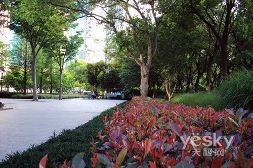 最美还是夕阳红 十一老年旅游相机选购推荐