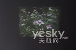 左图为对焦前,右图为对焦后