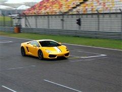 后驱蛮牛!体验兰博基尼LP550-2限量版 汽车之家 后驱蛮牛!体验兰博基尼LP550-2限量版 汽车之家