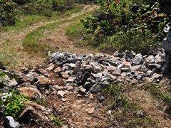 G 500领衔——试驾奔驰全系SUV车型 汽车之家 G 500领衔——试驾奔驰全系SUV车型 汽车之家