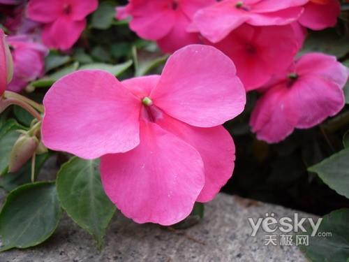 太空小丑平安着陆 智能长焦数码相机推荐