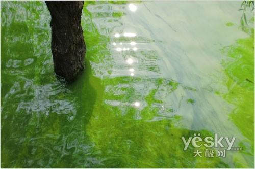 太空小丑平安着陆 智能长焦数码相机推荐
