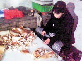 记者探访皮冻黑加工点:用洗衣机洗肉皮(组图)