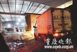 ���׳�ÿ�ո�50��ͷţע���۹���ˮ(��ͼ)