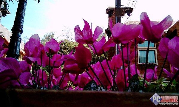 至尊至臻 年度王者HTC HD2到站评测