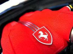 ����֮�� ������ ������california 09�� ������