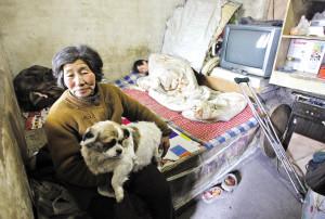 七旬老太无钱给儿动手术卖房欠债养流浪猫狗