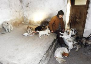 七旬老太无钱给儿动手术卖房欠债养流浪猫狗