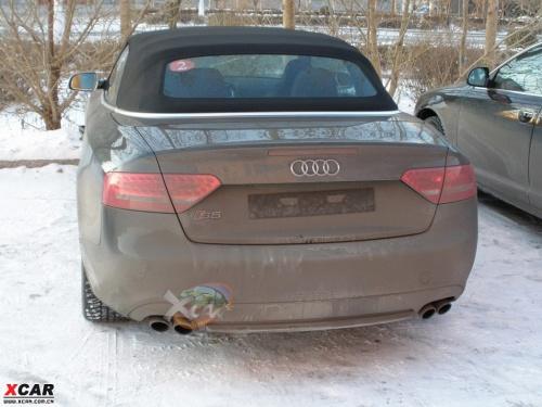 ����������ͼƬ