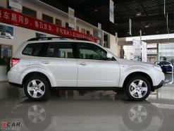 ��ɭ����