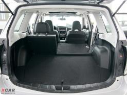 ��ɭ����