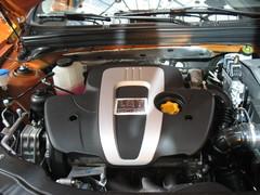 �����ƭ�ˣ�����������ӻ�������