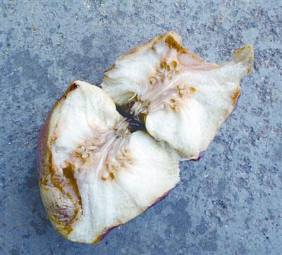 ������ƻ�� ��������ĭ