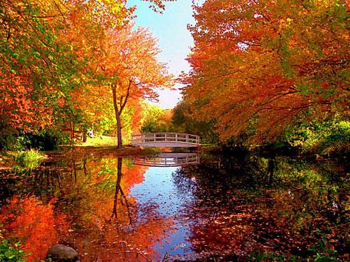 盘点北京赏红叶最佳景点