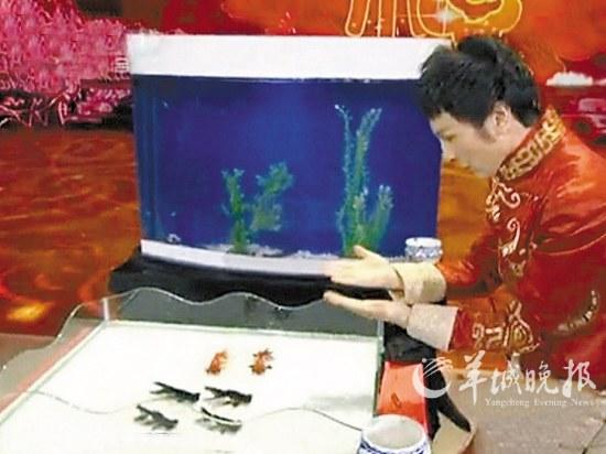 央视春晚魔术师傅琰东揭秘《年年有鱼》证清白