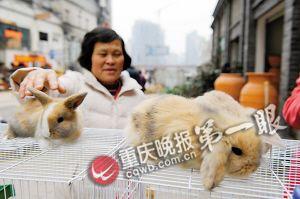 兔熱病