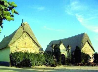 胶东半岛百年海草房亟待抢救(图)