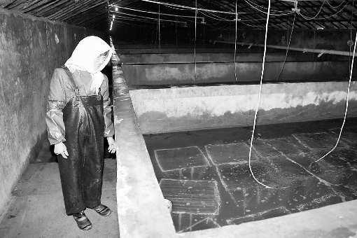 市场鲜海参九成大棚养 野生海参现在无法上市