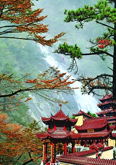 踏青东天目山 采茶炒茶晤茶祖