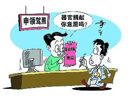 申领驾照或将登记器官捐献 国外已有先例