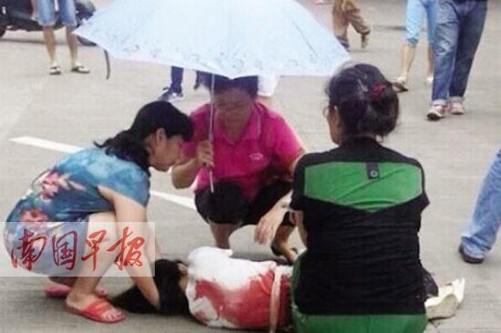 �ܵ�У԰�ڽ��׽�ͱ������ �����о�����ҵ(ͼ)