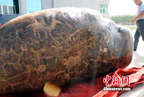 嫂,媳妇,爱人,京剧,歌曲,演员,党员,教育,公安,法