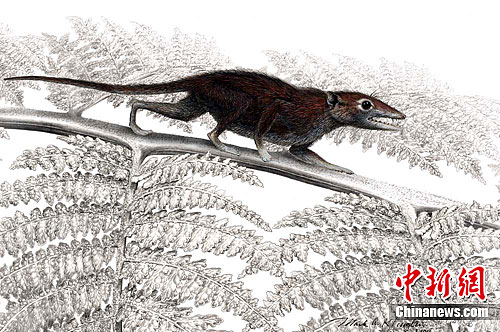 ���������о��л�٪���ް��Ѽ���ǰ3500����