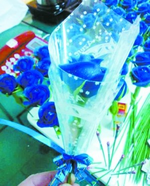 ���ֺ������ա���ɫ��������������������ں�