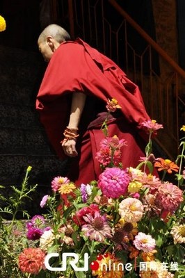 点图查看下一页