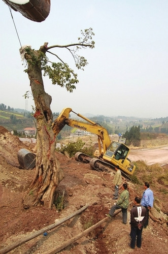 �Ĵ��ڽ��������������Է��ý����������ֵ