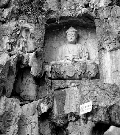 ���ݷ������������ٷ绯���ѱ�����������50��