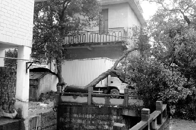 ����ײ�ϰ�����Ŵ�������200��ר�ҹ���35��