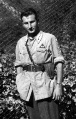 点图查看下一页