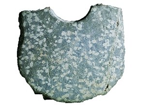 点图查看下一页