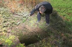 宝鸡“党阁老”墓出现盗洞多年将进行保护性回填