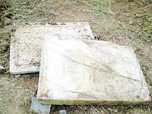 王安石家族墓候选09年全国十大考古发现-文