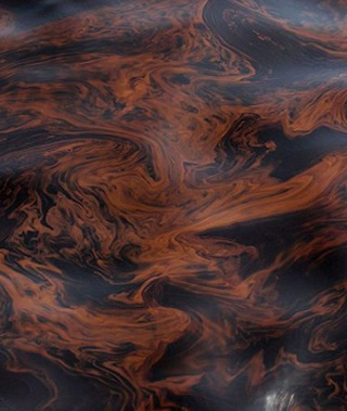 墨西哥湾漏油成史上最严重环境灾难
