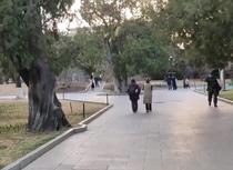 梦回明朝，感受历史的气息