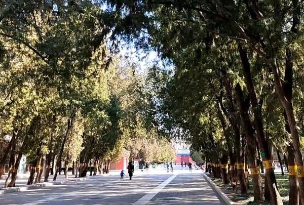 带你游地坛公园