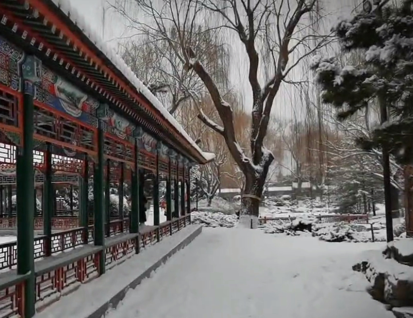 飞花雪舞落宫墙，记录北京美景